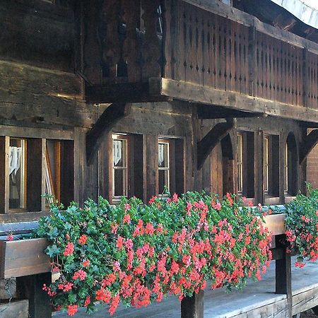 Ferienwohnungen Sternenthal Menzenschwand Bagian luar foto