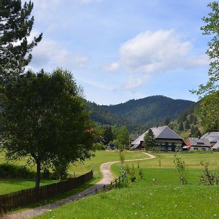 Ferienwohnungen Sternenthal Menzenschwand Bagian luar foto