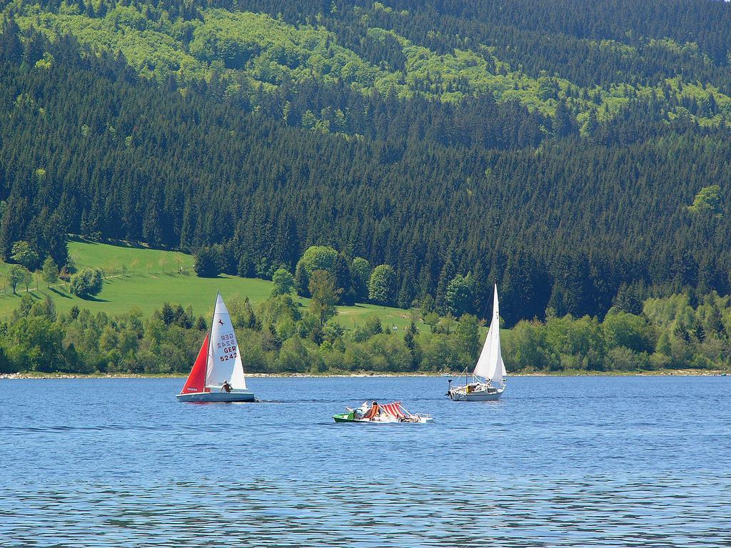 Ferienwohnungen Sternenthal Menzenschwand Bagian luar foto