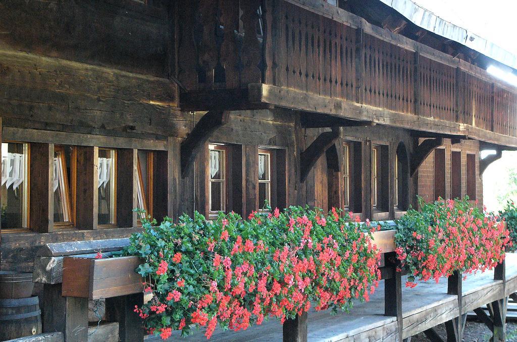 Ferienwohnungen Sternenthal Menzenschwand Bagian luar foto