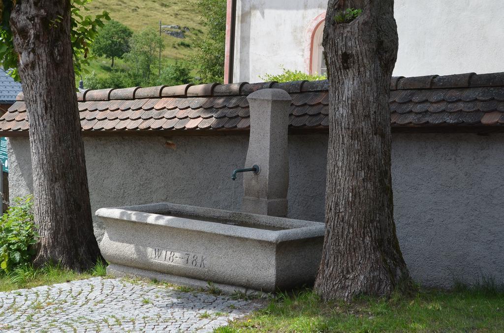 Ferienwohnungen Sternenthal Menzenschwand Bagian luar foto