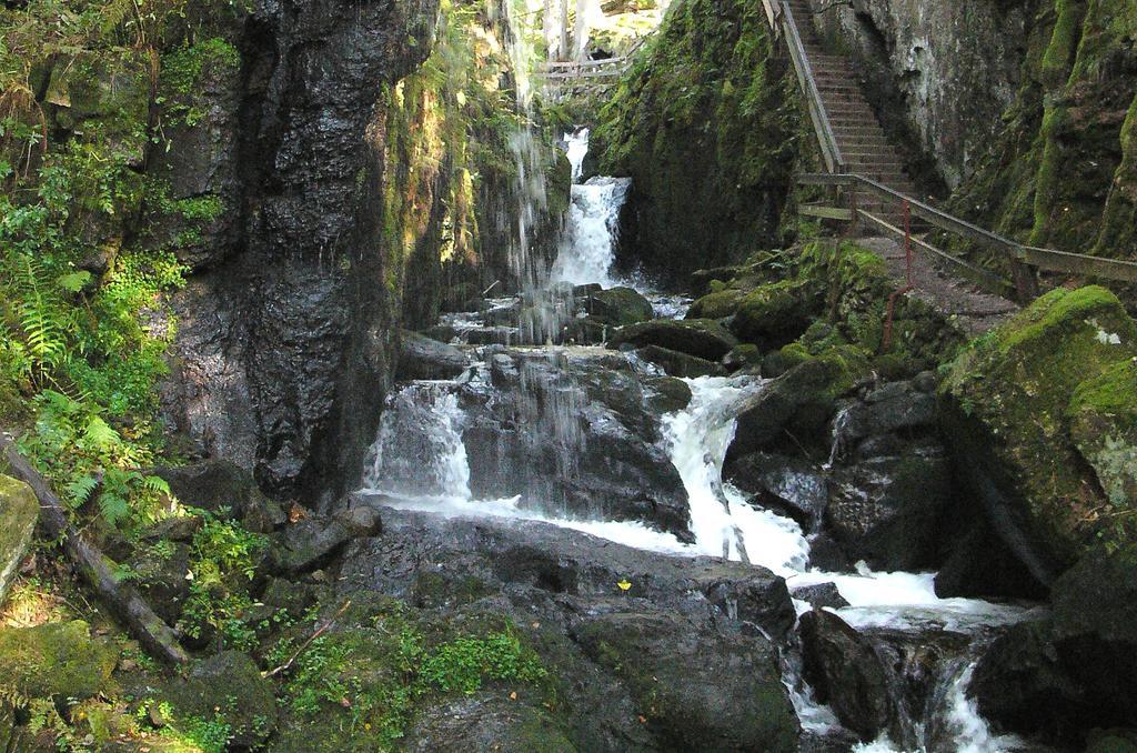 Ferienwohnungen Sternenthal Menzenschwand Bagian luar foto