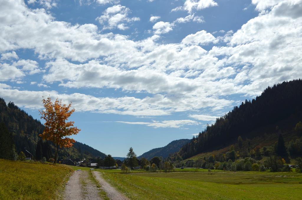Ferienwohnungen Sternenthal Menzenschwand Bagian luar foto