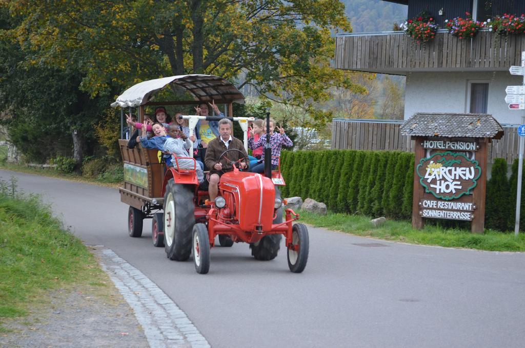 Ferienwohnungen Sternenthal Menzenschwand Bagian luar foto