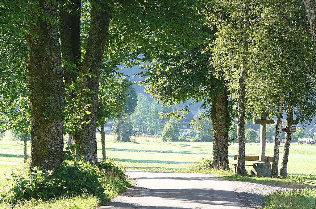Ferienwohnungen Sternenthal Menzenschwand Bagian luar foto
