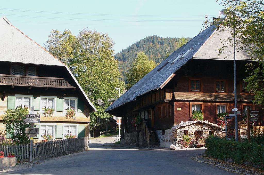Ferienwohnungen Sternenthal Menzenschwand Bagian luar foto