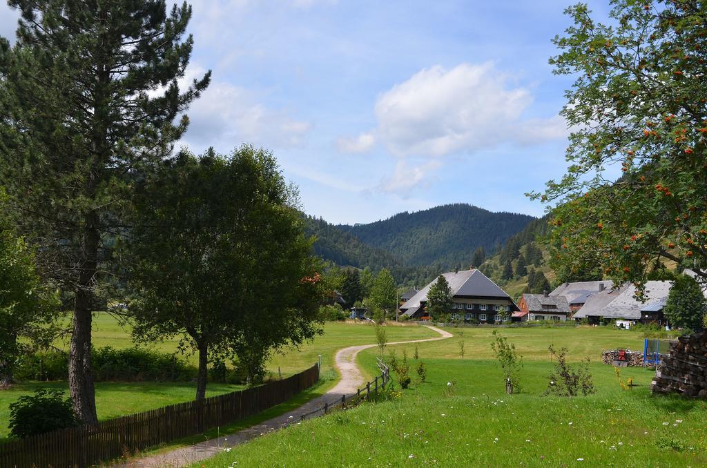Ferienwohnungen Sternenthal Menzenschwand Bagian luar foto