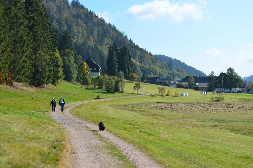 Ferienwohnungen Sternenthal Menzenschwand Bagian luar foto