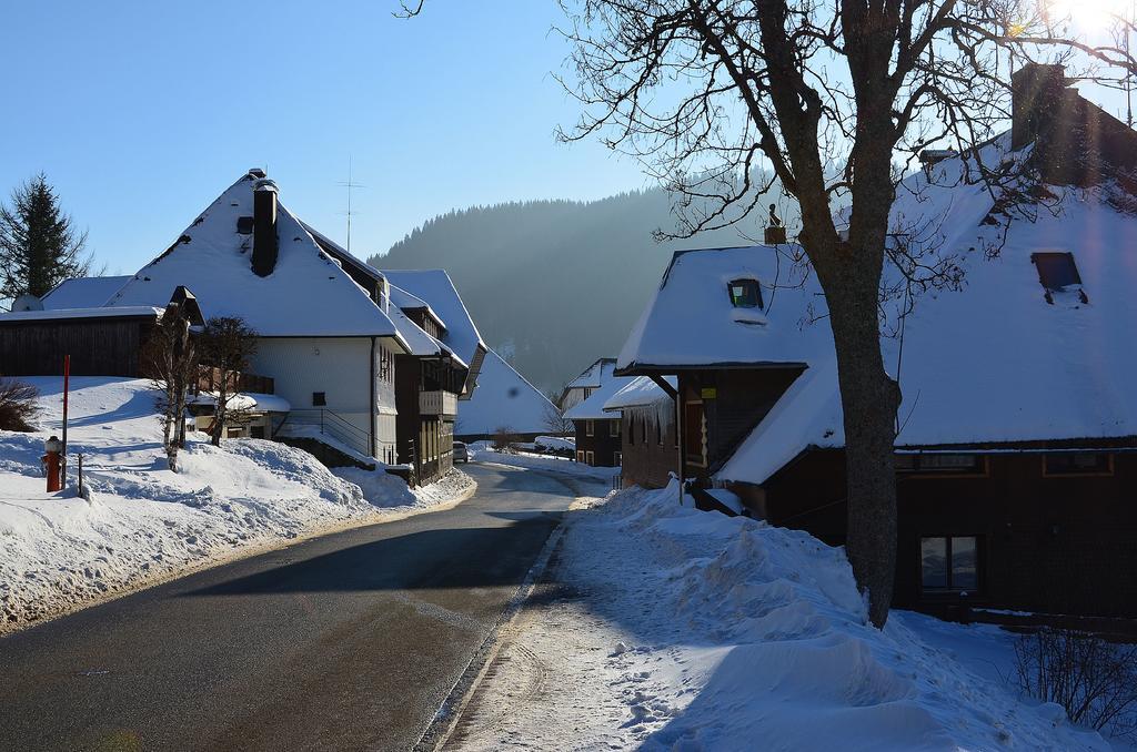 Ferienwohnungen Sternenthal Menzenschwand Bagian luar foto