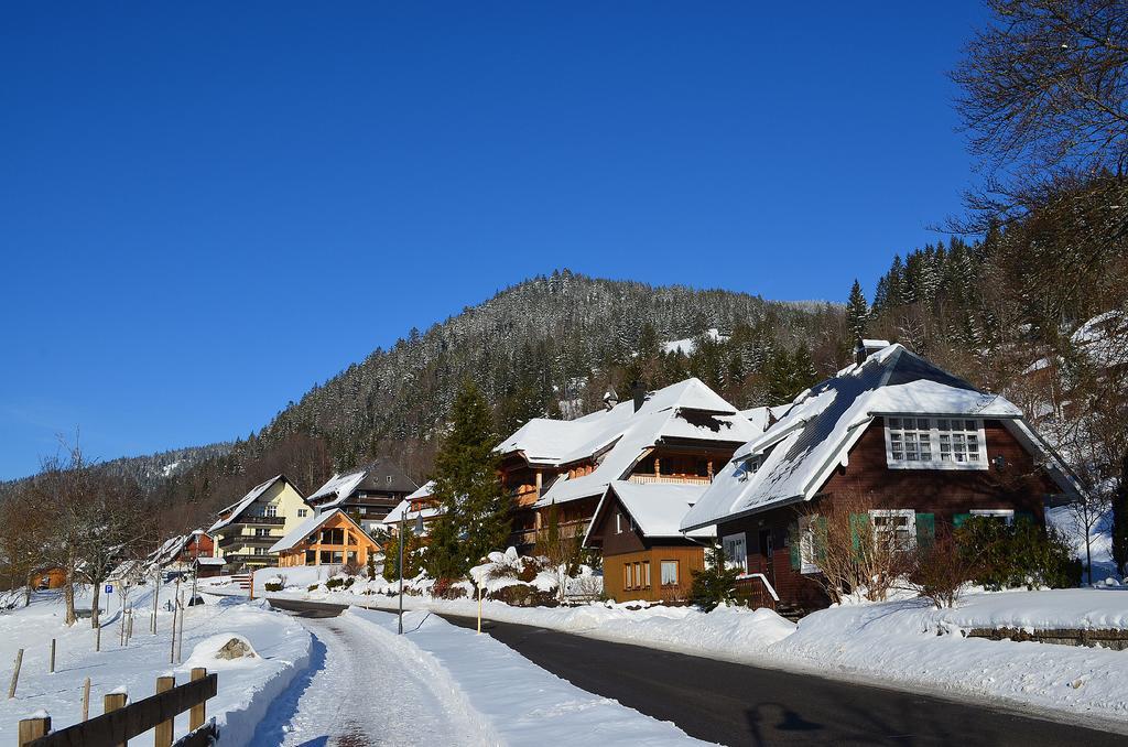 Ferienwohnungen Sternenthal Menzenschwand Bagian luar foto